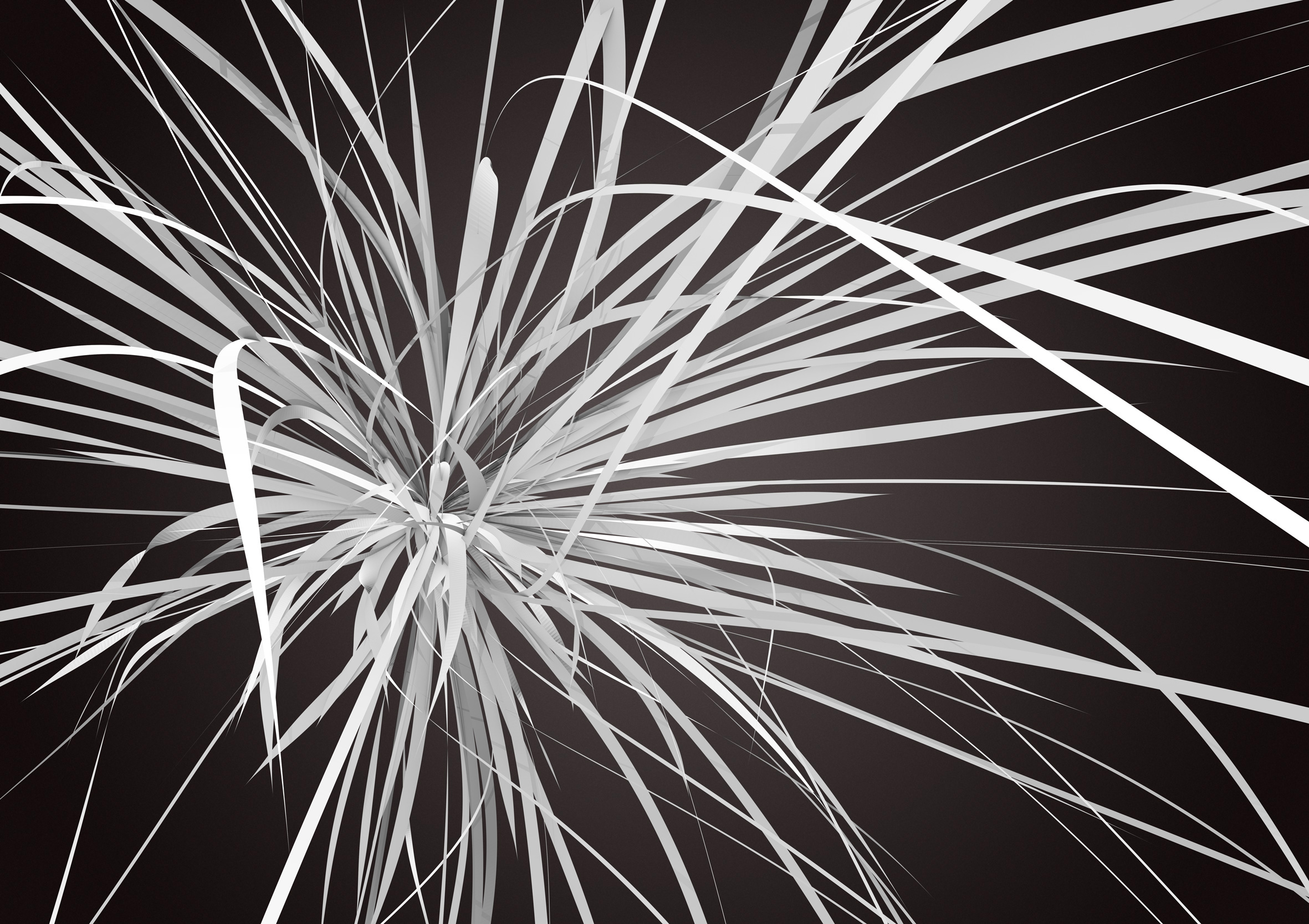 frame no. - unframe #006 — 17