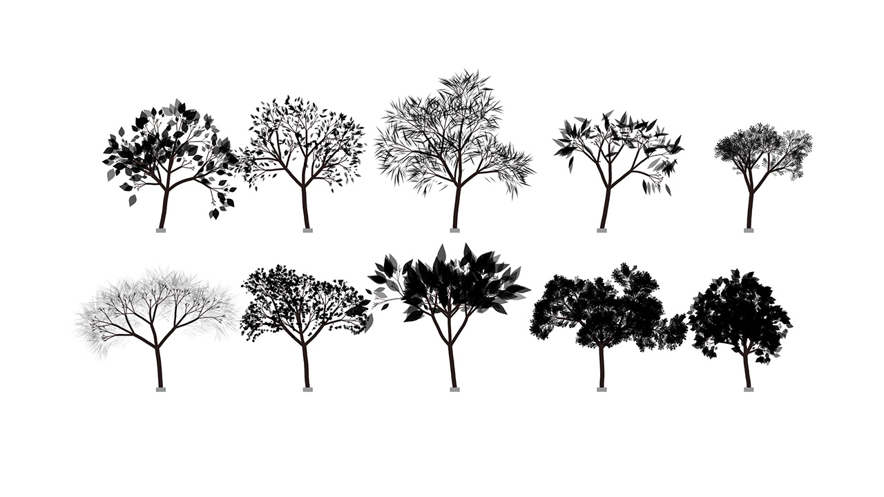 Mathematics Tree