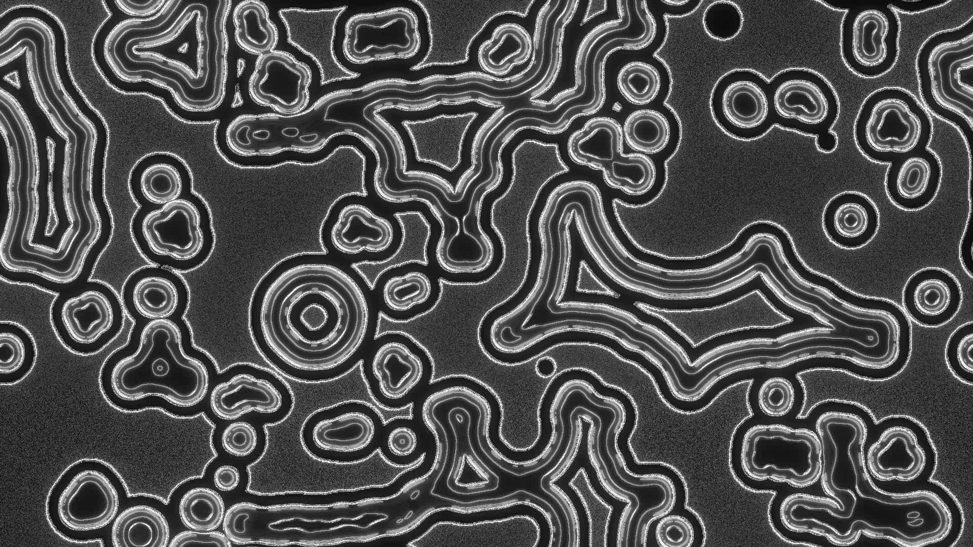 Super Flying Tokyo 2019 — 11